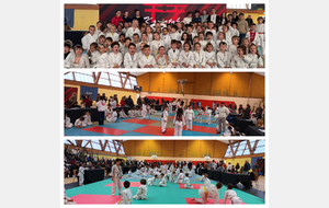 Résultats : InterClubs de Melesse