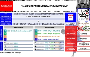 Championnat d'Ille et Vilaine Minimes