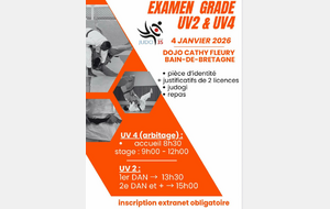 Examen UV2 (Techniques)