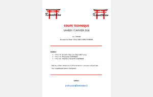 Coupe Technique &amp; Animation baby judo